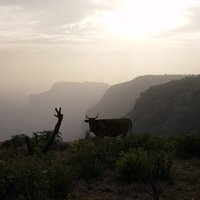 Massif du Fouta Djallon
