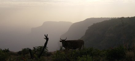 Massif du Fouta Djallon