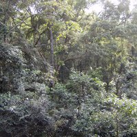 Western Area Peninsula National Park
