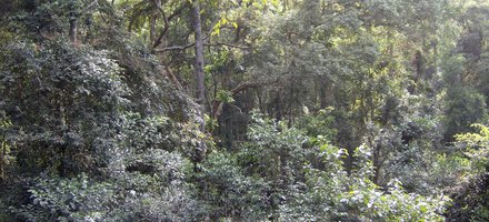 Western Area Peninsula National Park