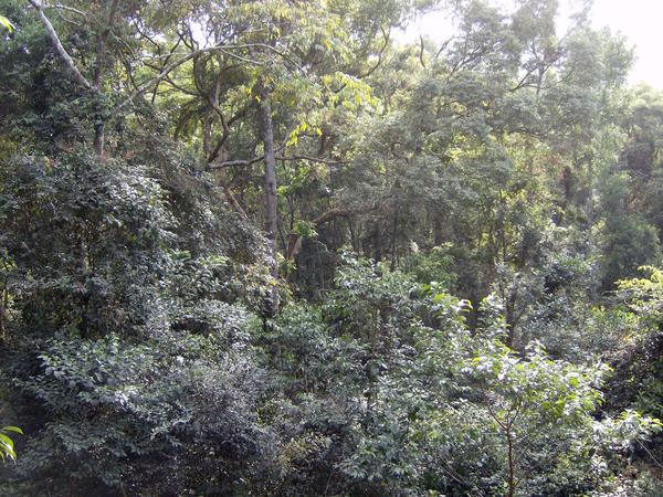 Western Area Peninsula National Park