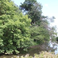 Mozu-Furuichi Kofun: Hakayama Kofun