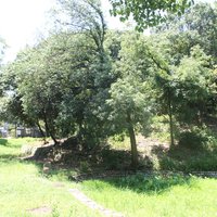 Mozu-Furuichi Kofun: Hatazuka Kofun