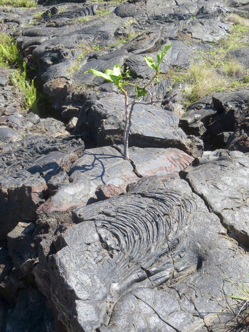 Hawaii Volcanoes
