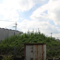 Mozu-Furuichi Kofun: Higashiumazuka Kofun