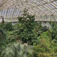 Kew