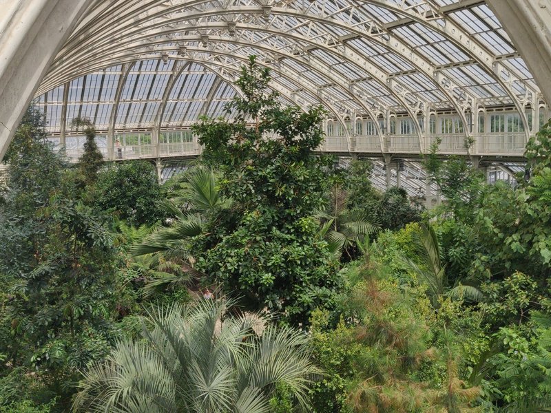 One of the green houses of Kew Gardens from above