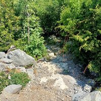A beginning of the trail to Paklenica gorge