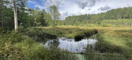 Soomaa National Park