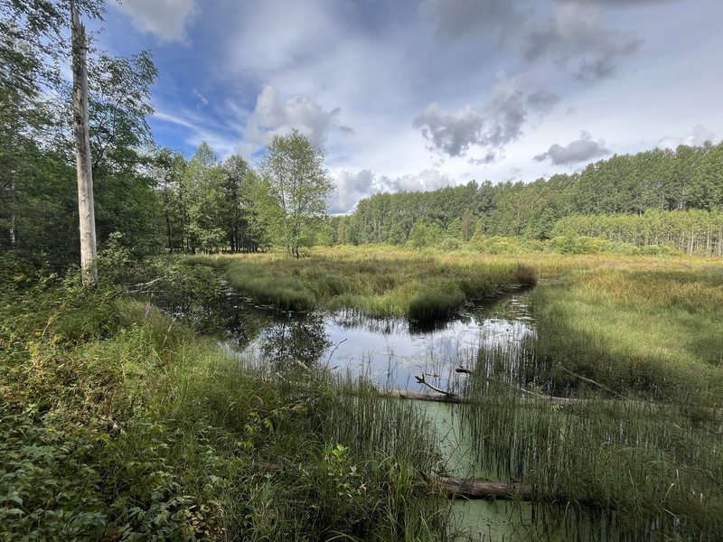 Wooded Meadows Soomaa NP