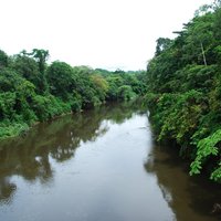 Cross River-Korup-Takamanda