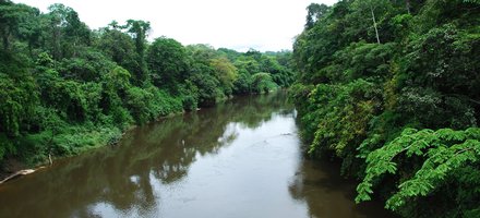 Cross River-Korup-Takamanda