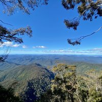 Gondwana Rainforests - New England National Park