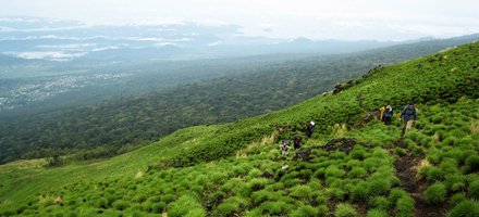 Mont Cameroun and the colonial city of Buea