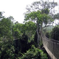 Kakum National Park