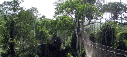 Kakum National Park