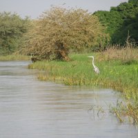 Le fleuve Niger, les îles et la vallée