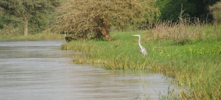 Le fleuve Niger, les îles et la vallée
