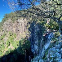 Gondwana Rainforests - Night Cap National Park