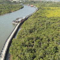 Dongzhai Port Nature Reserve