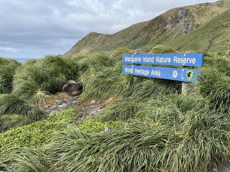 Plaque of Macquarie Island