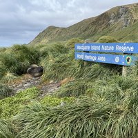 Plaque of Macquarie Island
