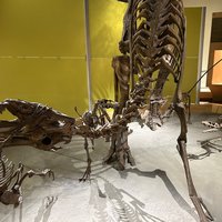 Dinosaur Provincial Park Canada