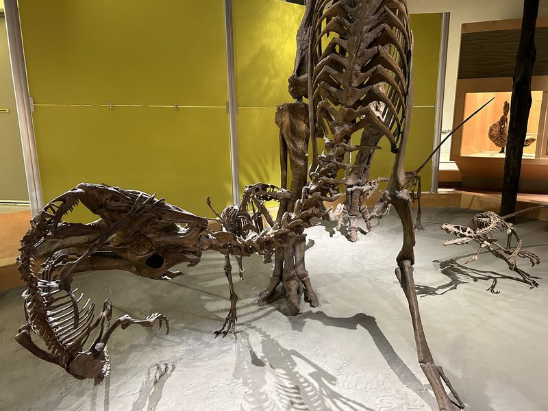 Dinosaur diorama inside Visitor Center