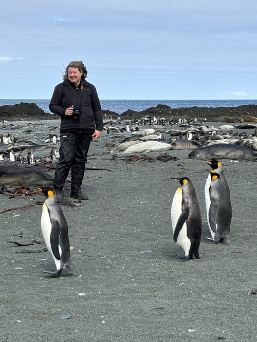 Els at her #1,000 : Macquarie Island