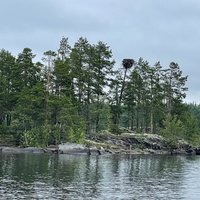 The Ringed Seal Archipelagos of Lake Saimaa