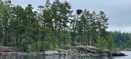 The Ringed Seal Archipelagos of Lake Saimaa