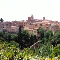 Volterra