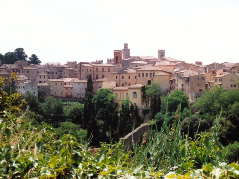 Volterra