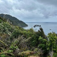 Te Wahipounamu - Westland Tai Poutini National Park - Point Knight