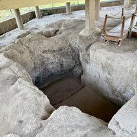 The Neolithic Settlement of Burzahom