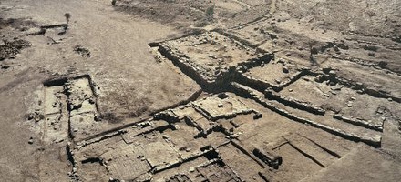 Bisya Oasis