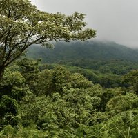 Rwenzori mountain view