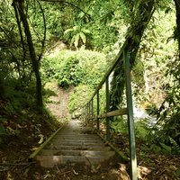 Rwenzori path and ladder