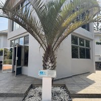 Kigali Genocide Memorial Unesco sign