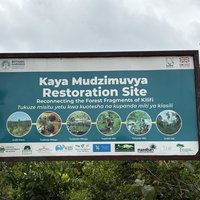 Before entering the site