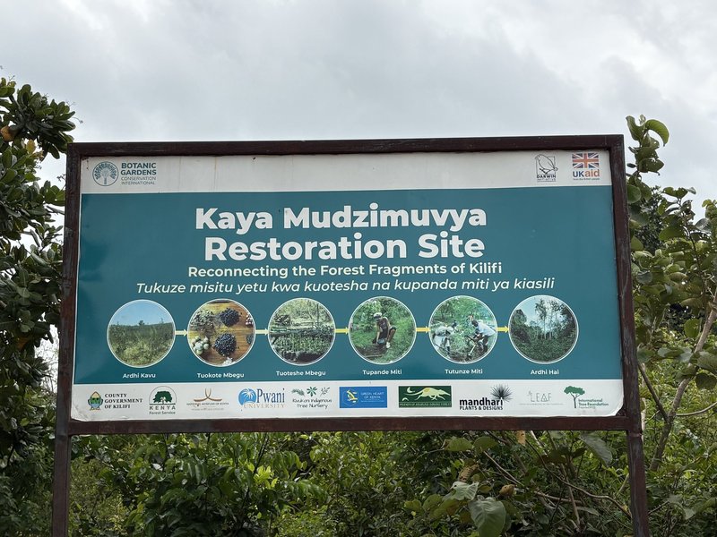 Before entering the site
