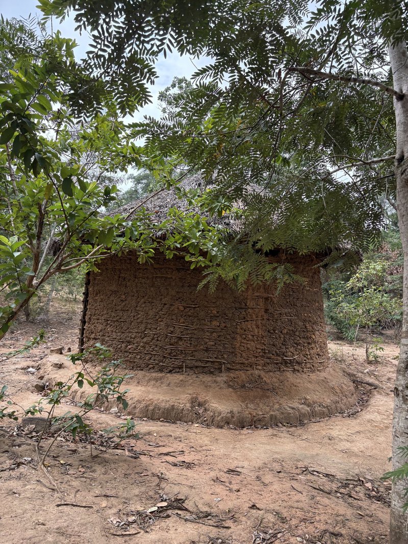 A mud house