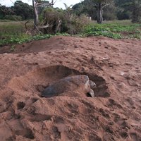 Comores by Bram de Bruin