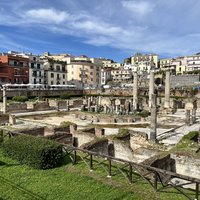 Bradyseism in the Flegrea Area