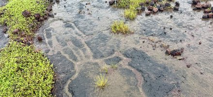 Geoglyphs of Konkan Region