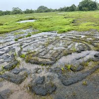 Geoglyphs of Konkan Region