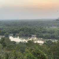Mole National Park
