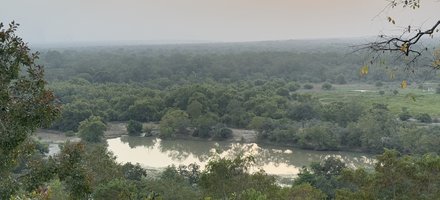 Mole National Park