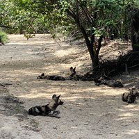 Selous Game Reserve