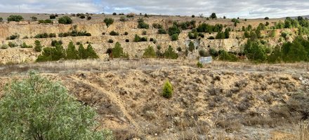 Australian Cornish Mining Sites: Burra and Moonta